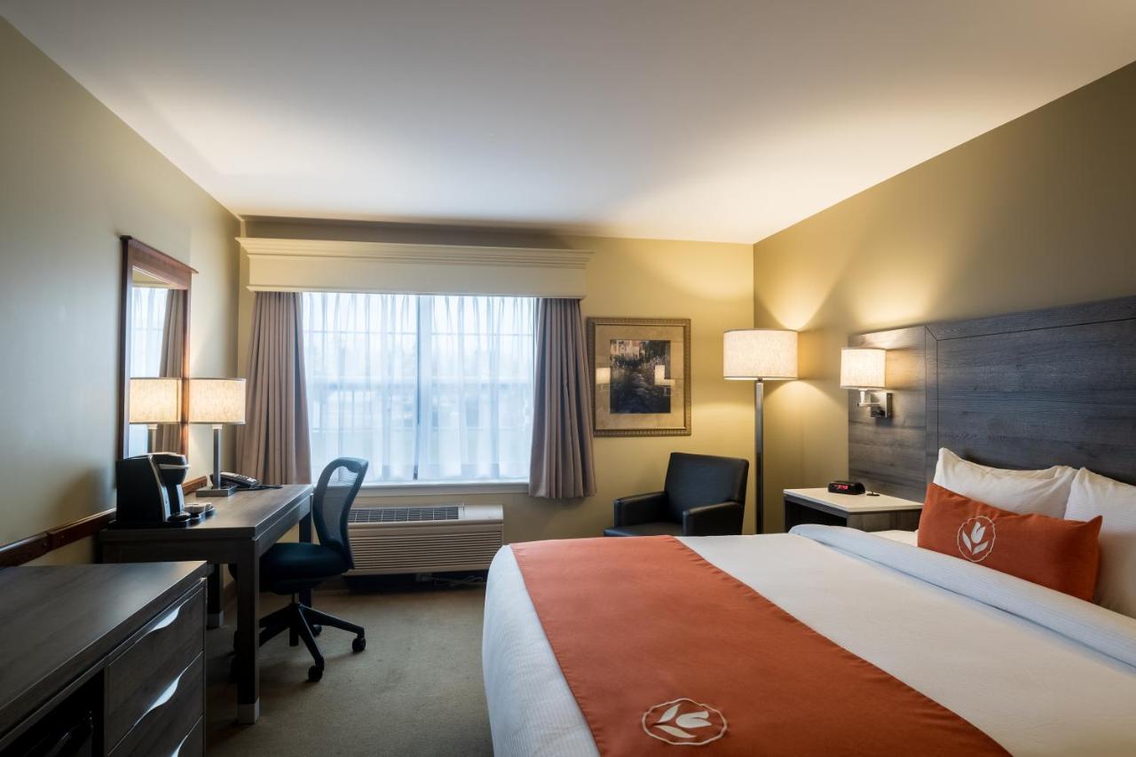 Amsterdam Inn & Suites Moncton Kültér fotó
