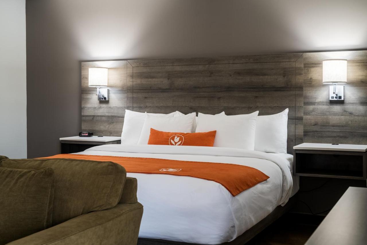 Amsterdam Inn & Suites Moncton Kültér fotó